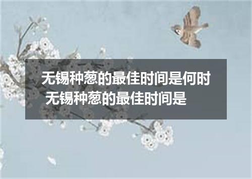 无锡种葱的最佳时间是何时 无锡种葱的最佳时间是