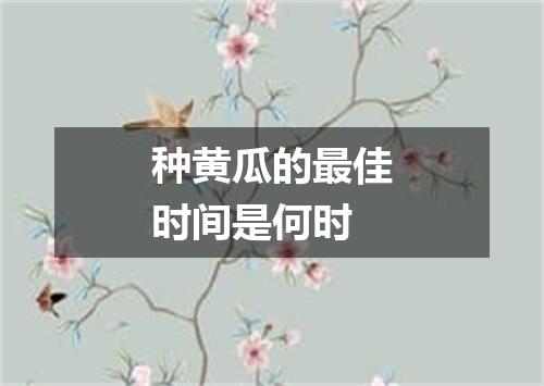 种黄瓜的最佳时间是何时