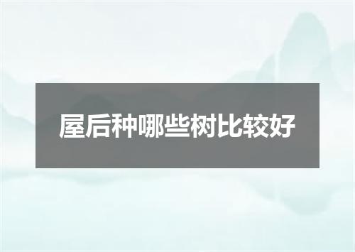 屋后种哪些树比较好