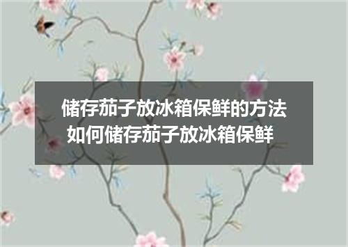 储存茄子放冰箱保鲜的方法 如何储存茄子放冰箱保鲜