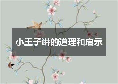 小王子讲的道理和启示