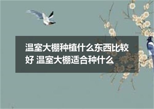 温室大棚种植什么东西比较好 温室大棚适合种什么