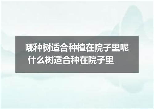 哪种树适合种植在院子里呢 什么树适合种在院子里
