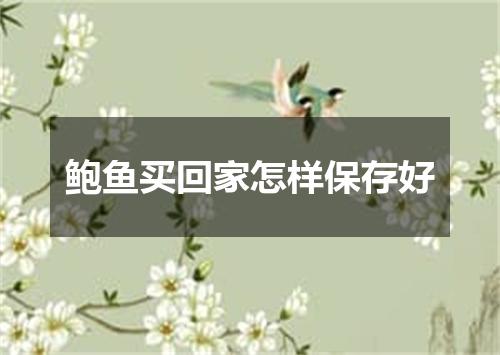 鲍鱼买回家怎样保存好