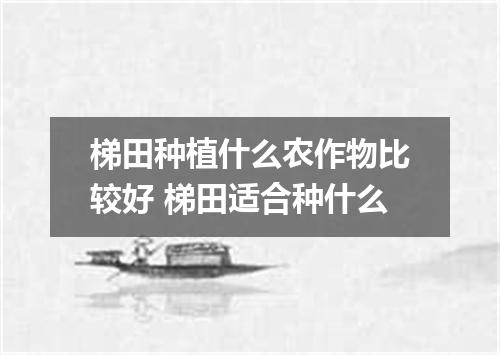 梯田种植什么农作物比较好 梯田适合种什么