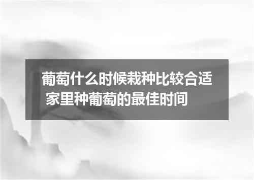 葡萄什么时候栽种比较合适 家里种葡萄的最佳时间