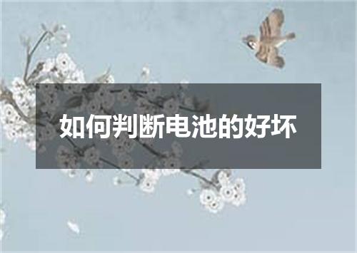 如何判断电池的好坏