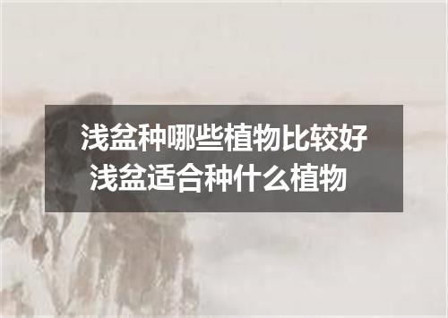 浅盆种哪些植物比较好 浅盆适合种什么植物