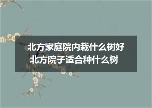 北方家庭院内栽什么树好 北方院子适合种什么树