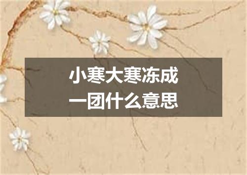 小寒大寒冻成一团什么意思