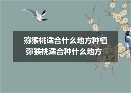 猕猴桃适合什么地方种植 弥猴桃适合种什么地方