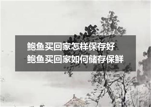 鲍鱼买回家怎样保存好 鲍鱼买回家如何储存保鲜