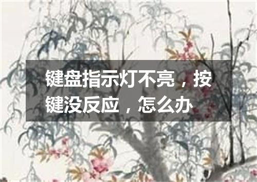 键盘指示灯不亮，按键没反应，怎么办