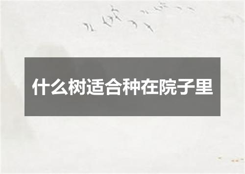 什么树适合种在院子里