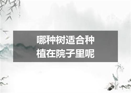 哪种树适合种植在院子里呢