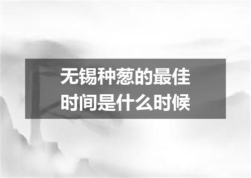 无锡种葱的最佳时间是什么时候