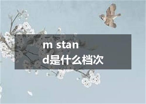 m stand是什么档次