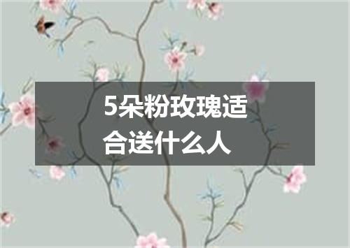 5朵粉玫瑰适合送什么人