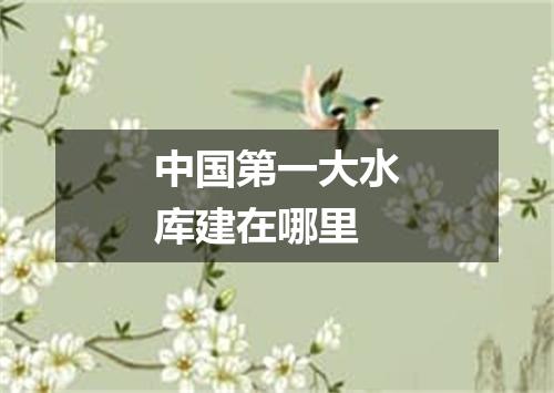 中国第一大水库建在哪里