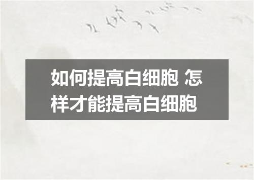 如何提高白细胞 怎样才能提高白细胞