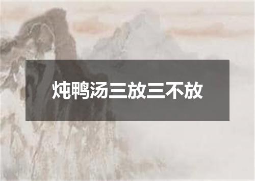 炖鸭汤三放三不放