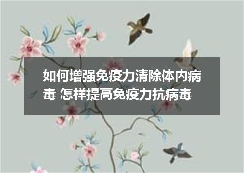 如何增强免疫力清除体内病毒 怎样提高免疫力抗病毒