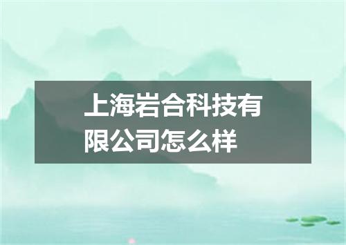 上海岩合科技有限公司怎么样