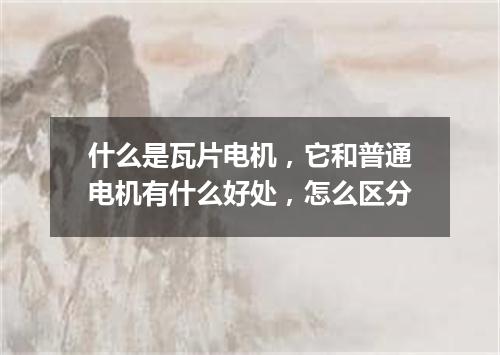 什么是瓦片电机，它和普通电机有什么好处，怎么区分