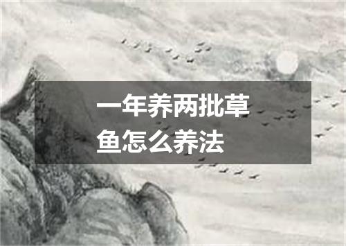 一年养两批草鱼怎么养法