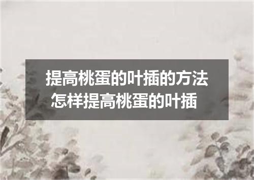 提高桃蛋的叶插的方法 怎样提高桃蛋的叶插