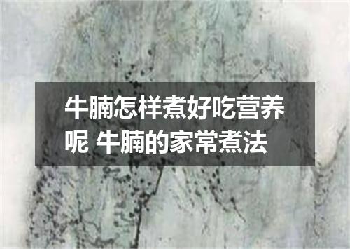 牛腩怎样煮好吃营养呢 牛腩的家常煮法