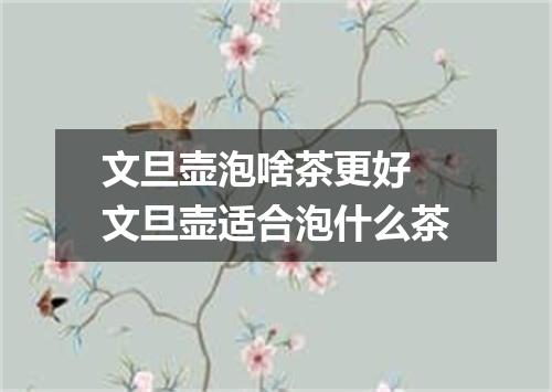 文旦壶泡啥茶更好 文旦壶适合泡什么茶