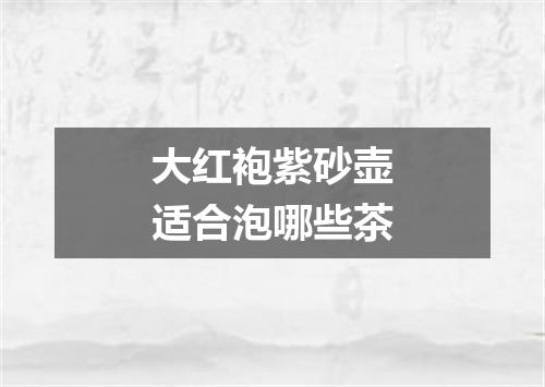 大红袍紫砂壶适合泡哪些茶