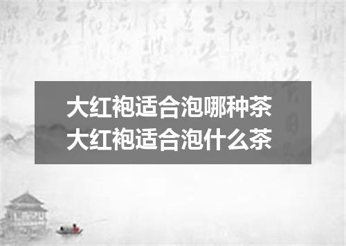 大红袍适合泡哪种茶 大红袍适合泡什么茶