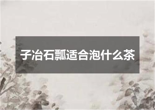 子冶石瓢适合泡什么茶
