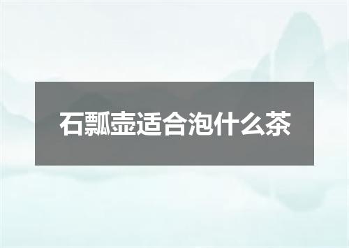 石瓢壶适合泡什么茶