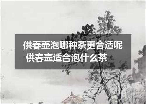 供春壶泡哪种茶更合适呢 供春壶适合泡什么茶