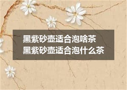 黑紫砂壶适合泡啥茶 黑紫砂壶适合泡什么茶