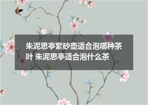朱泥思亭紫砂壶适合泡哪种茶叶 朱泥思亭适合泡什么茶