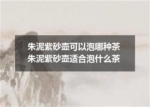 朱泥紫砂壶可以泡哪种茶 朱泥紫砂壶适合泡什么茶