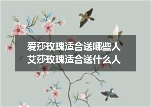 爱莎玫瑰适合送哪些人 艾莎玫瑰适合送什么人