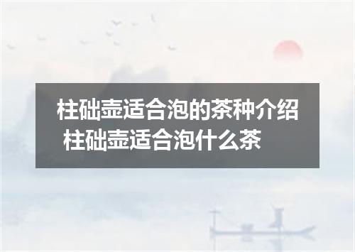 柱础壶适合泡的茶种介绍 柱础壶适合泡什么茶