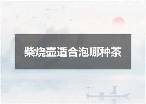 柴烧壶适合泡哪种茶