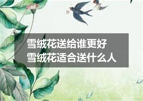 雪绒花送给谁更好 雪绒花适合送什么人