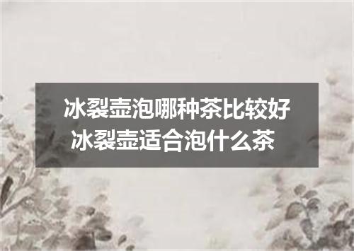 冰裂壶泡哪种茶比较好 冰裂壶适合泡什么茶