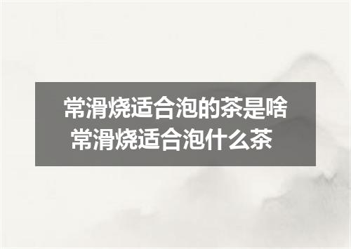 常滑烧适合泡的茶是啥 常滑烧适合泡什么茶