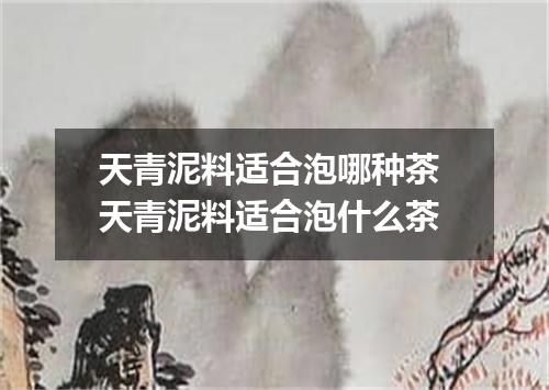 天青泥料适合泡哪种茶 天青泥料适合泡什么茶