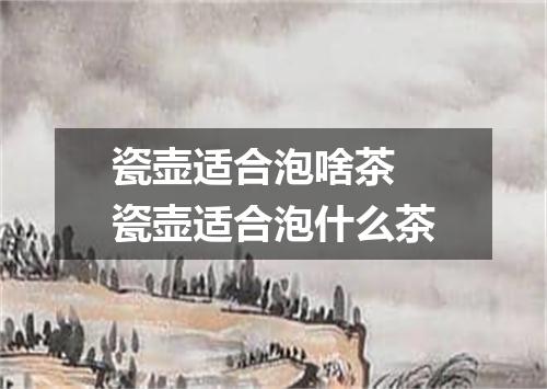 瓷壶适合泡啥茶 瓷壶适合泡什么茶
