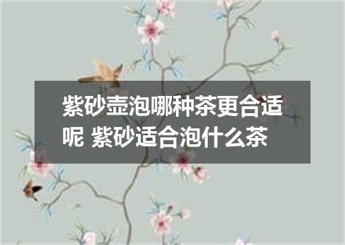 紫砂壶泡哪种茶更合适呢 紫砂适合泡什么茶