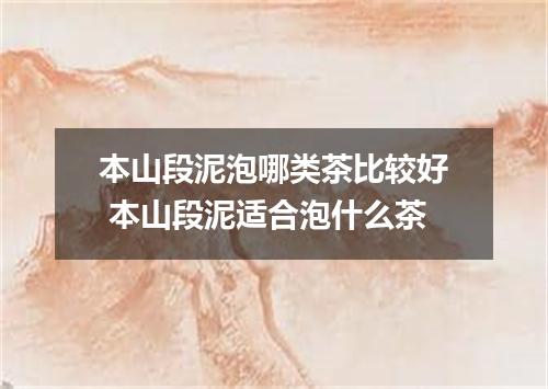 本山段泥泡哪类茶比较好 本山段泥适合泡什么茶